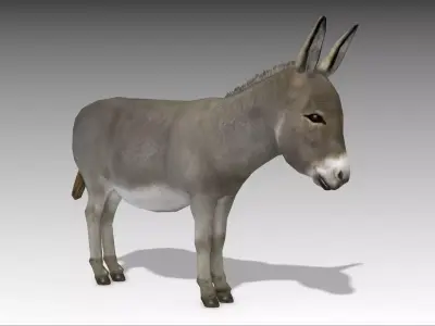 Donkey Low-poly 3D model