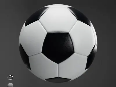 Soccer Ball 3D model