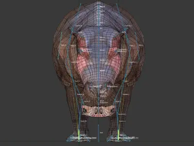 Hippopotamus Low-poly 3D model