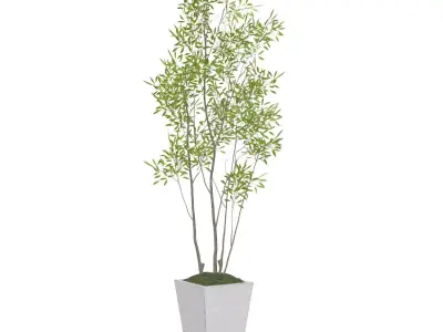 Amur Decorative Plant PBR 3D model
