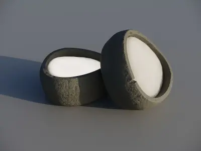 Bowl with wax 3D model