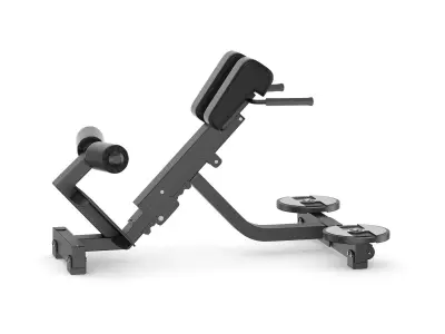 Technogym Pure Lower Back Bench  3D model