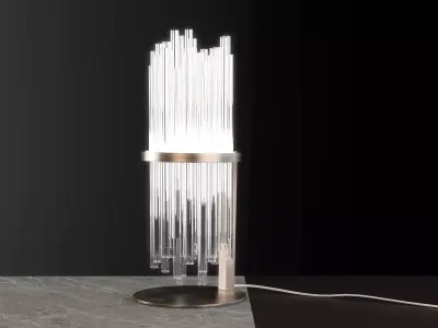 My Lamp Shade 3D model