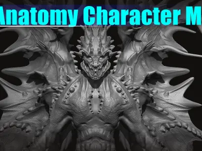 Full anatomy character model Free low-poly 3D model