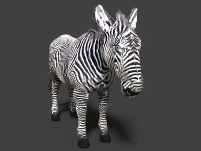 zebra 3D model