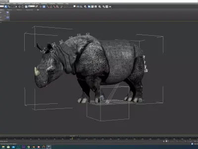 Rhino rhinoceros 3D model buy