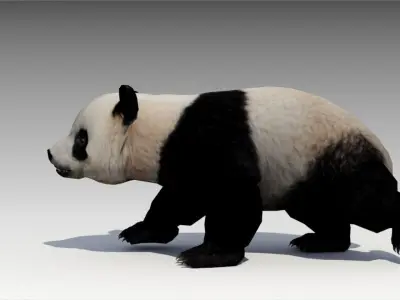 Giant Panda Animated Low-poly 3D model