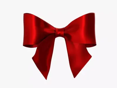 Wrapping bow 03 3D model