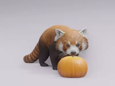 RedPanda animated 3D 3D model