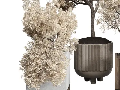 Indoor plant autumn set 333 concrete vase plant tree bush pot  Low-poly 3D model