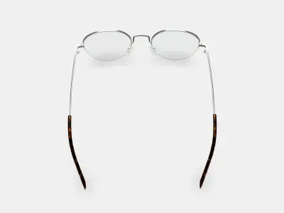 Canning Eyeglasses in Polished Silver 3D model