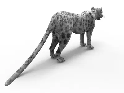 Game ready White Leopard 3D Low-poly 3D model