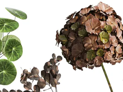 Collection of minimalist bouquets of flowers in a vase 322 3D model