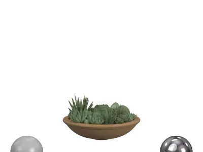 Succulent Pot 3D model