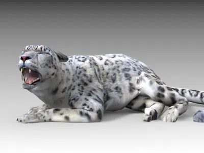 Snow Leopard Low-poly 3D model