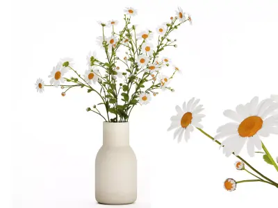 White Flower Bouquet Branch Of Chamomile 525 3D model