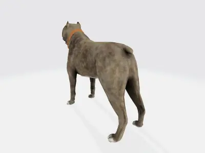 Guard Dog 3D model