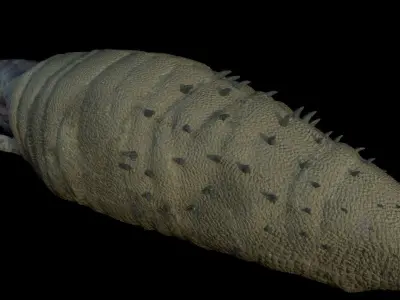 Graboid Low-poly 3D model