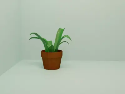 Plant in vase Free 3D model