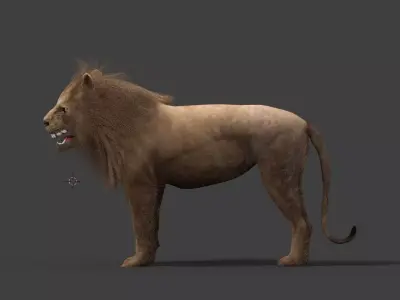 low poly Lion 3D model