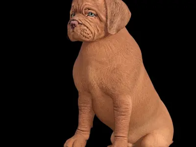 5 stand alone obj-12 3D model