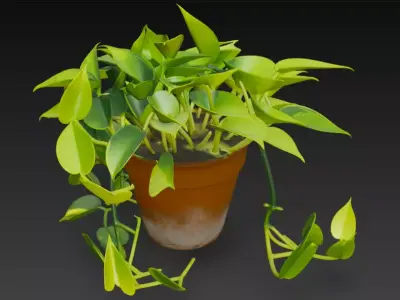 Realistic 3D Pothos Money Plant in Clay Pot 3D model