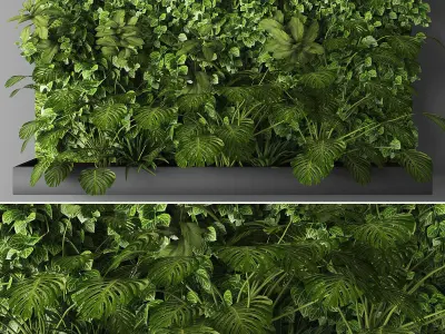 Collection of Vertical garden - 20