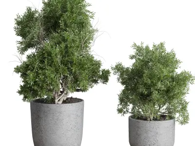 Outdoor Plants Trees and shrubs in Pot Set 144 Low-poly 3D model