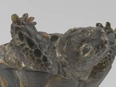 Tortois turtle 3D model
