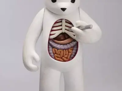 Self Medicated Bear Figure Fan Art Toy  3D print model