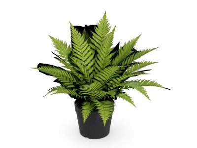 Home decorations Artificial Plant Low-poly 3D model