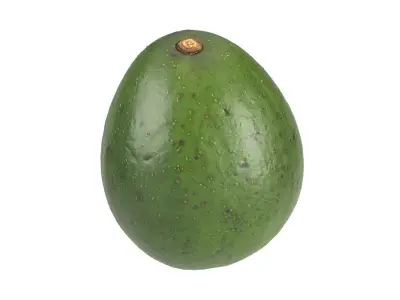Photorealistic Avocado 3D Scan 3 3D model