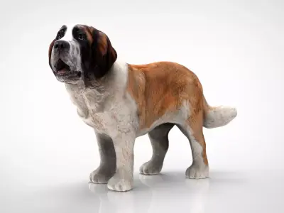 SAINT BERNARD 3D model
