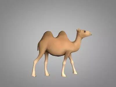 Camel Low-poly 3D model 5