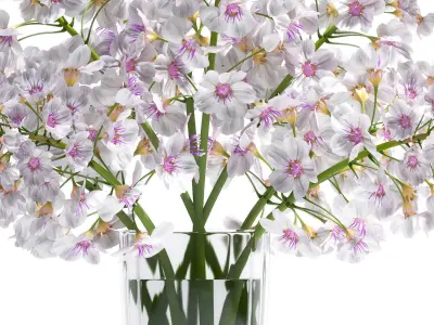 Flower Vase Set 3D model