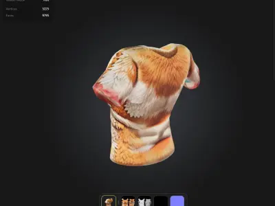 Kawaii Top PBR 4k Low-poly 3D model purchase