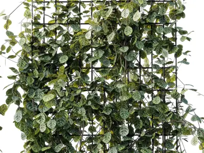 Plants set partition in metal frame 103 - Vertical graden ivy 3D model