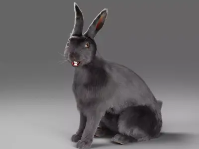 Fur Rabbit Gray V02 Rigged Low-poly 3D model
