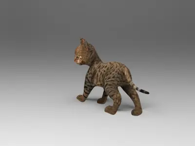 Cute Cat Rigged Low-poly 3D model