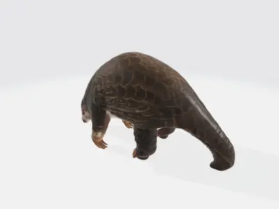 Realistic Cute Pangolin Model High Poly 3D model
