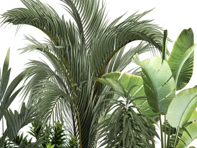 exotic plants in a metal flowerpot for the interior 1110 3D model