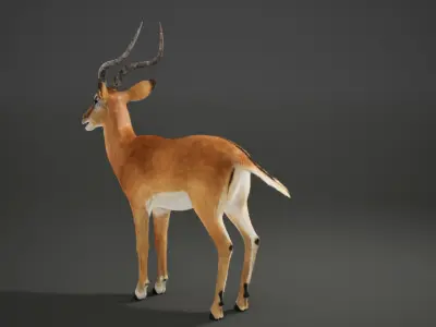 Impala Rig UNREAL project  Maya base rig 3D model