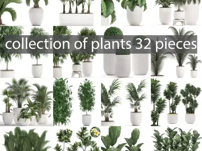 Collection of plants 32 pieces 3D model