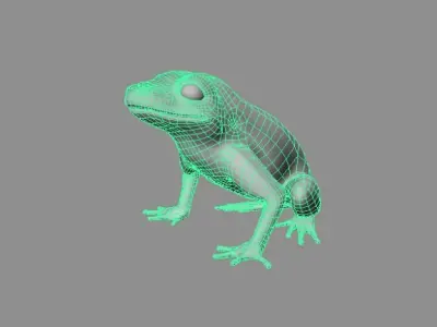 Frog 3D model