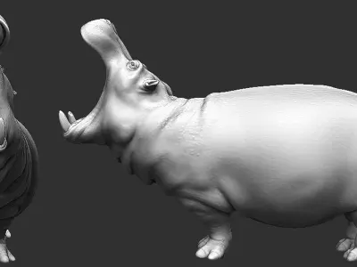 Hippopotamus  Sculpt 3D model