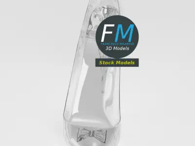 Cinderella shoe 3D model