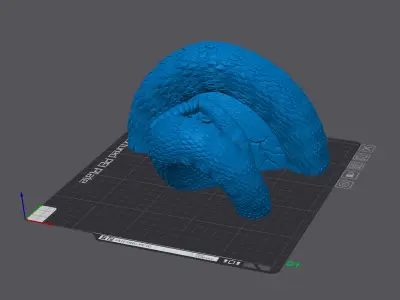 Skull with Rattlesnake - Eyes Closed - Hollow Inside 3D print model