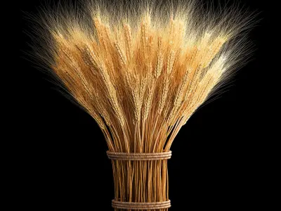 Bouquet of dried flowers from spikelets of wheat 287 3D model