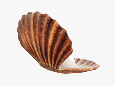  Seashell with pearl inside 3D model