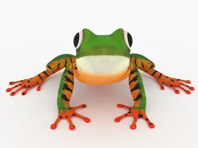 Frog 6 orange tree 3D model